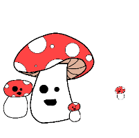 Mushrooms And More